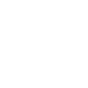 Partner B
