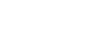 Partner F