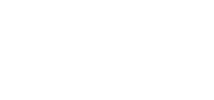 Partner E