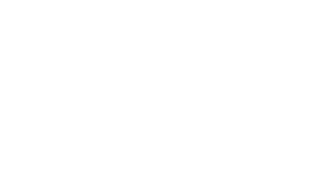 Partner H
