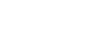Partner V